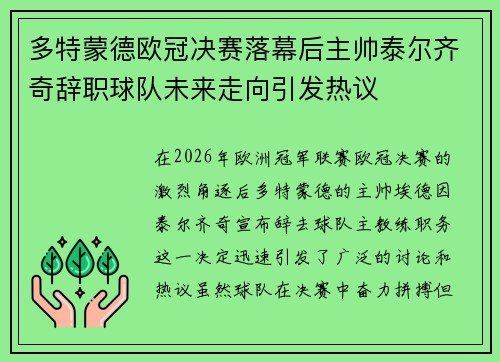 多特蒙德欧冠决赛落幕后主帅泰尔齐奇辞职球队未来走向引发热议