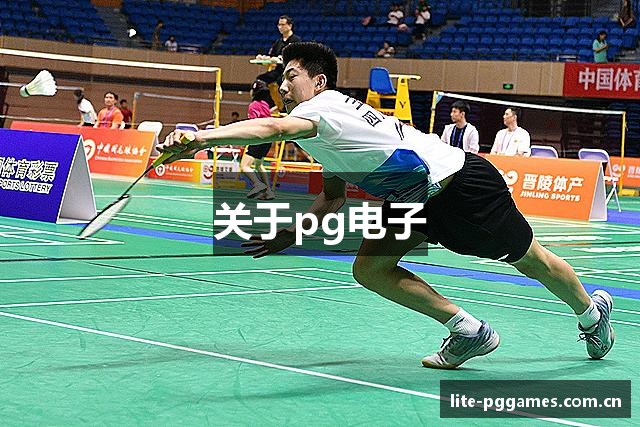 关于pg电子